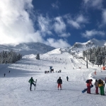 IMG-20180123-WA0005.jpg