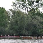 DSC_0474.JPG