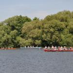 DSC_0514.JPG