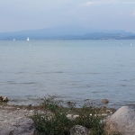20170926_165624.jpg