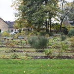 DSC_2406.JPG
