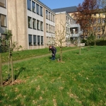 Aktionstag4_18_013.JPG