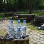 Aktionstag4_18_033.JPG