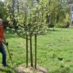 Aktionstag4_18_059.JPG