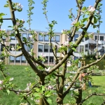 Aktionstag4_18_061.JPG