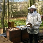 Bienen2020_03.jpg