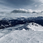 IMG_7446.jpeg