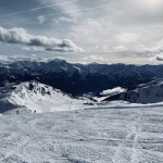 IMG_7448.jpeg