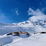 IMG_8775.jpeg
